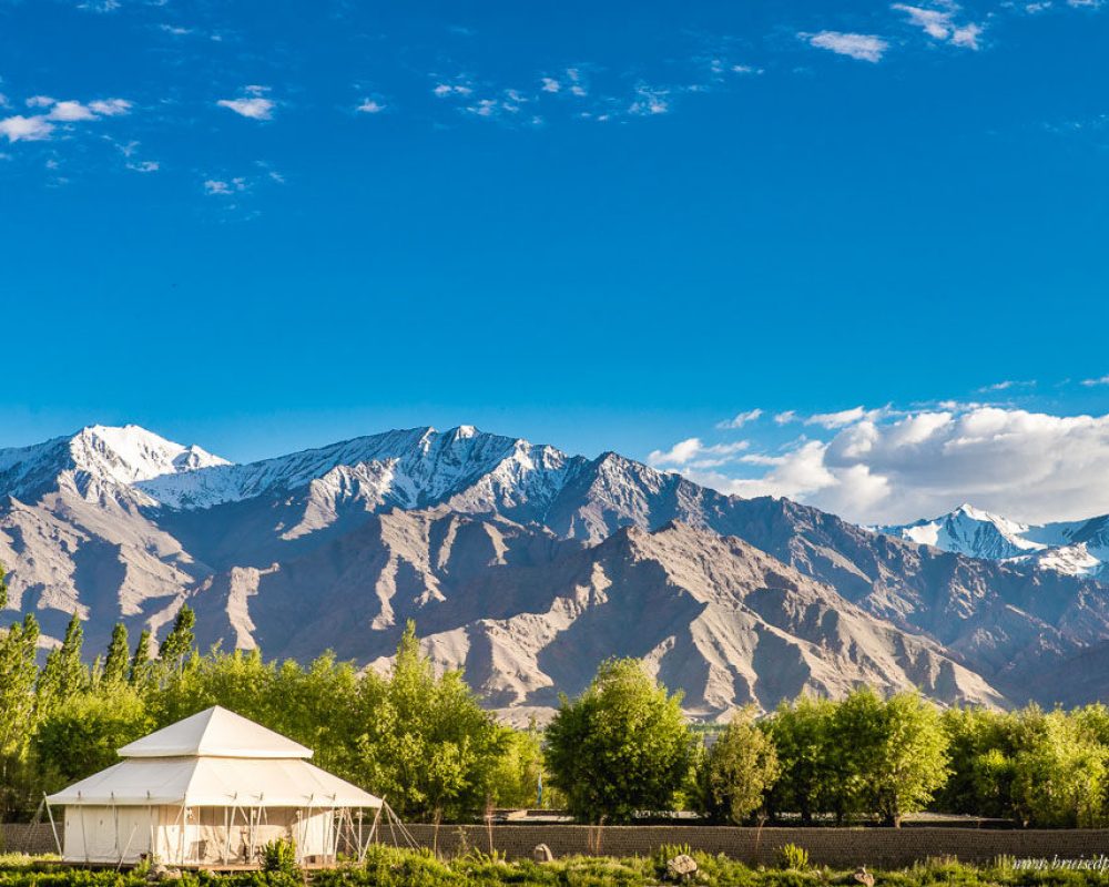 leh ladkhak main images