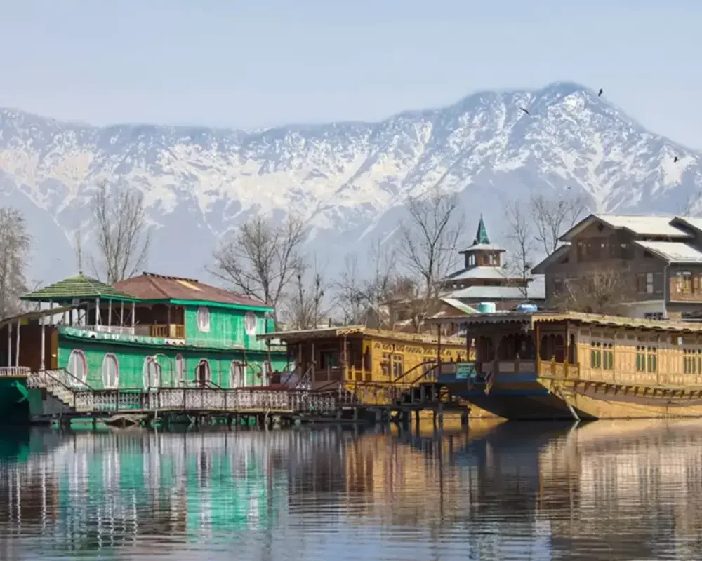 •_Opulent Odyssey of The Kashmir
